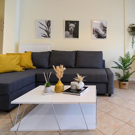 Yellow Fresh Apartment-City Center อเล็กซานโดรโพลิส ภายนอก รูปภาพ
