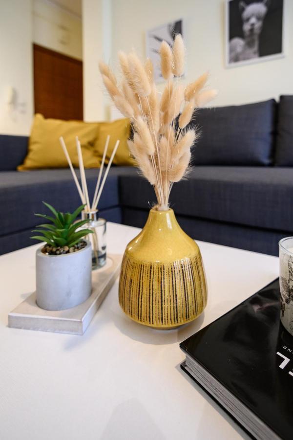 Yellow Fresh Apartment-City Center อเล็กซานโดรโพลิส ภายนอก รูปภาพ